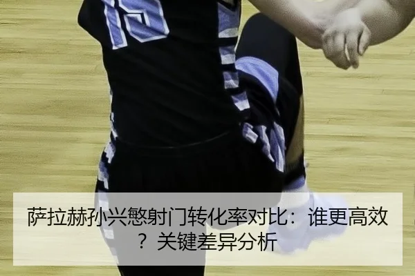 sa-la-he-sun-xing-min-she-men-zhuan-hua-lv-dui-bi-shui-geng-gao-xiao-guan-jian-cha-yi-fen-xi-2-117.jpg
