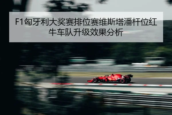 xiong-ya-li-da-jiang-sai-pai-wei-sai-wei-si-ta-pan-gan-wei-hong-niu-che-dui-sheng-ji-xiao-guo-fen-xi-2-424.jpg